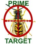 Prime Target Main Logo