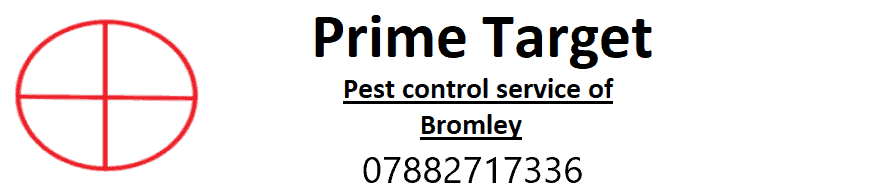 Prime Target Pest Control Bromley